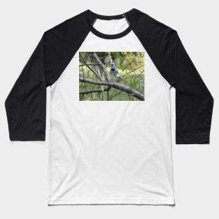 Blue jay, wildlife photography, wild birds Baseball T-Shirt